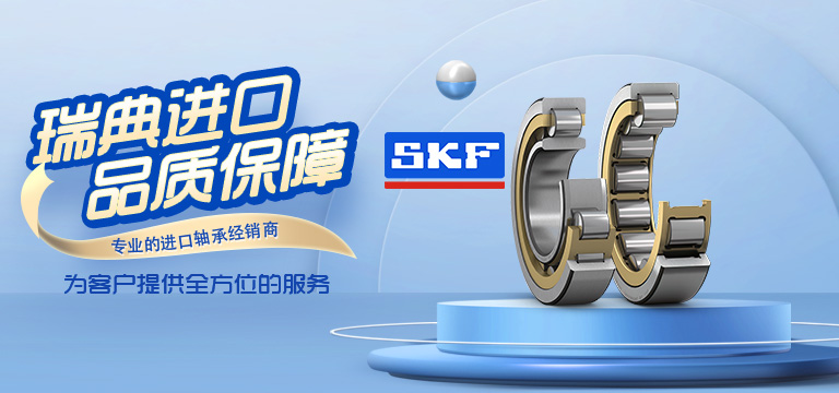 上海迪士轴承有限公司