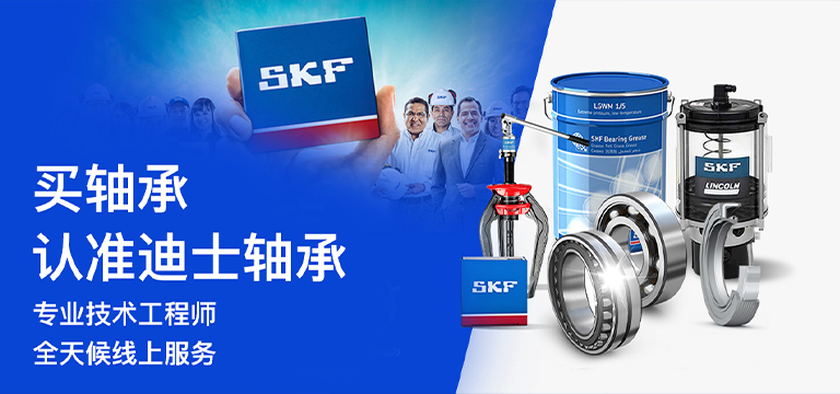 上海迪士轴承有限公司