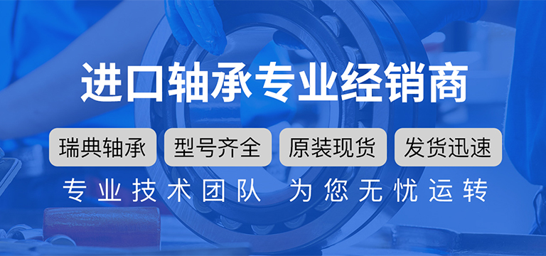 上海迪士轴承有限公司